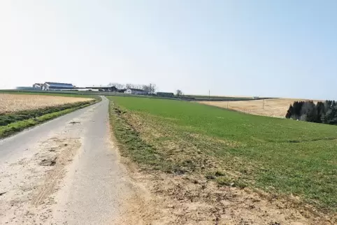 91-75871502.jpg