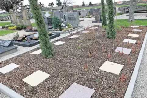 91-78282292.jpg