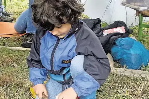 91-78825980.jpg