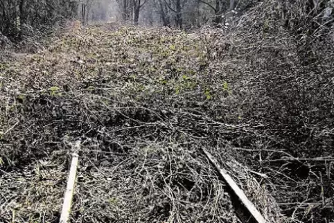 91-80079136.jpg