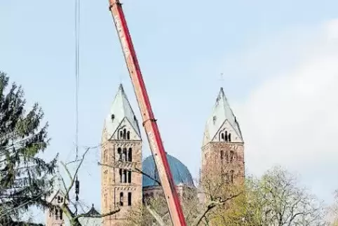 91-80198972.jpg