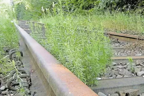 91-81355566.jpg