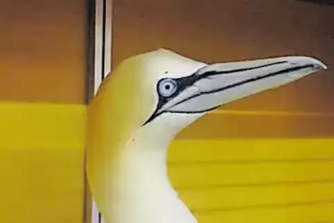 91-83995183.jpg