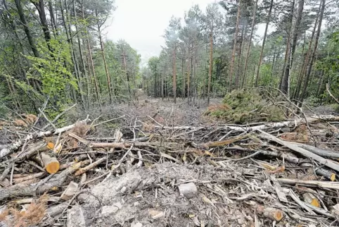 91-84975766.jpg