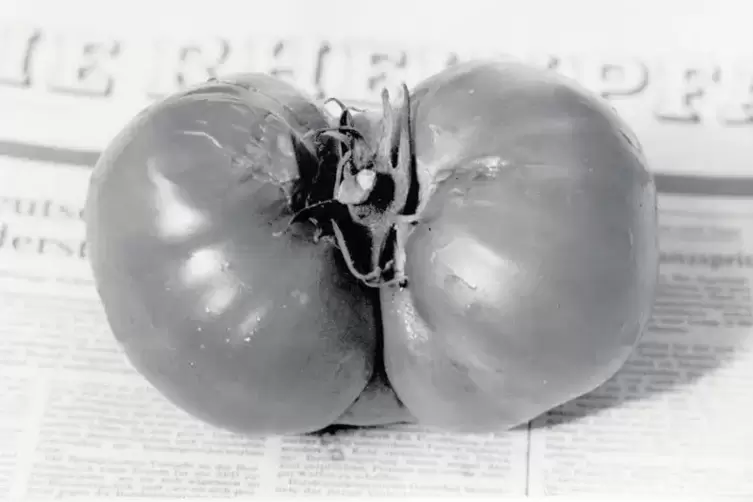 91-87175070.jpg