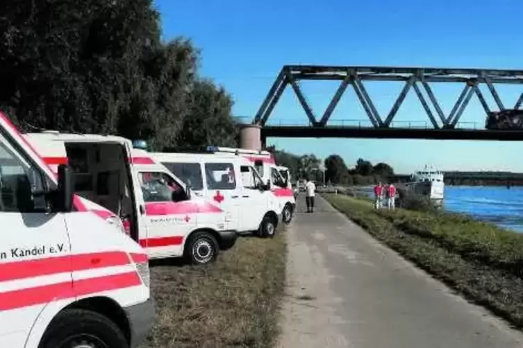 91-88114334.jpg