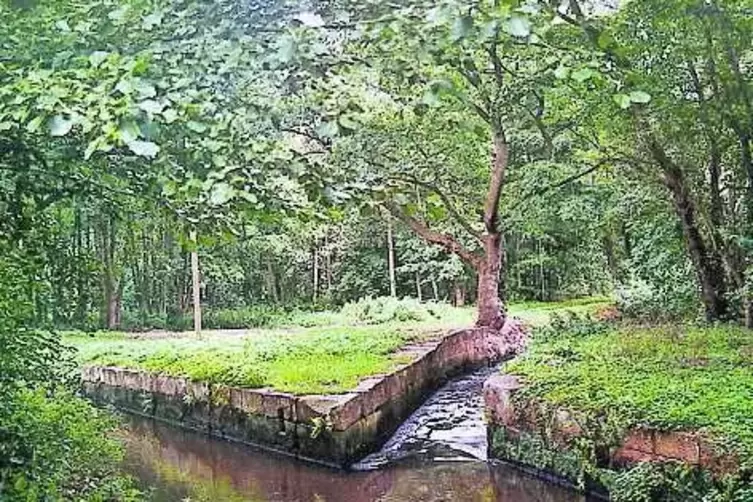91-88371976.jpg