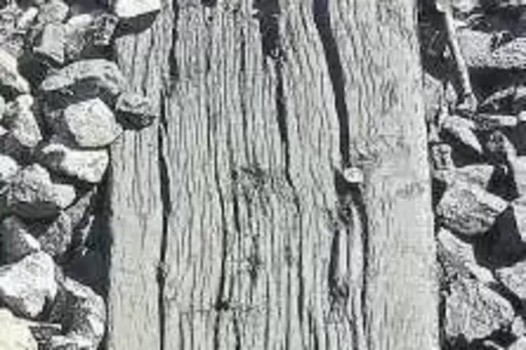 91-88505547.jpg