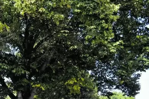 91-88863580.jpg