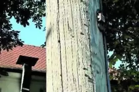 91-90584283.jpg