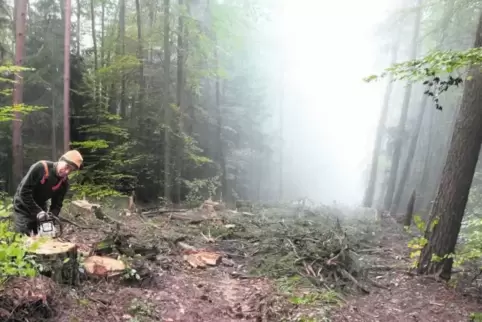 91-90664627.jpg