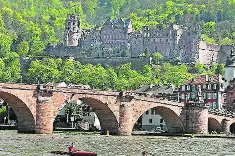 91-91236380.jpg