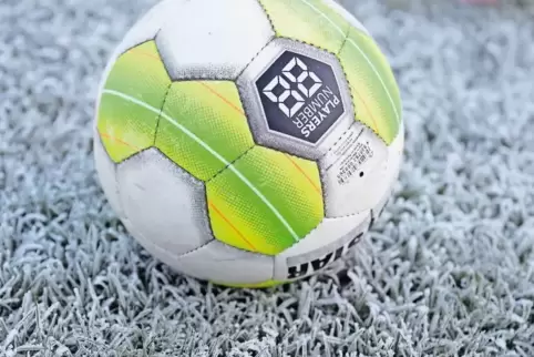 91-92258164.jpg