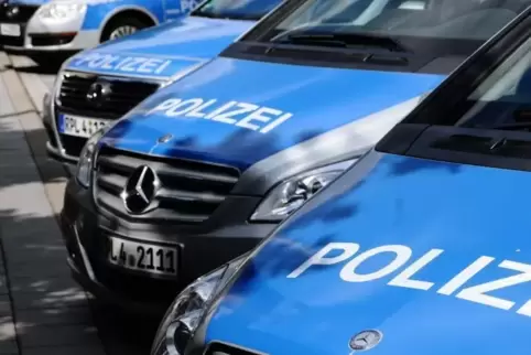 91-93779535_polizei_polizeiauto_foto_merkel.jpg