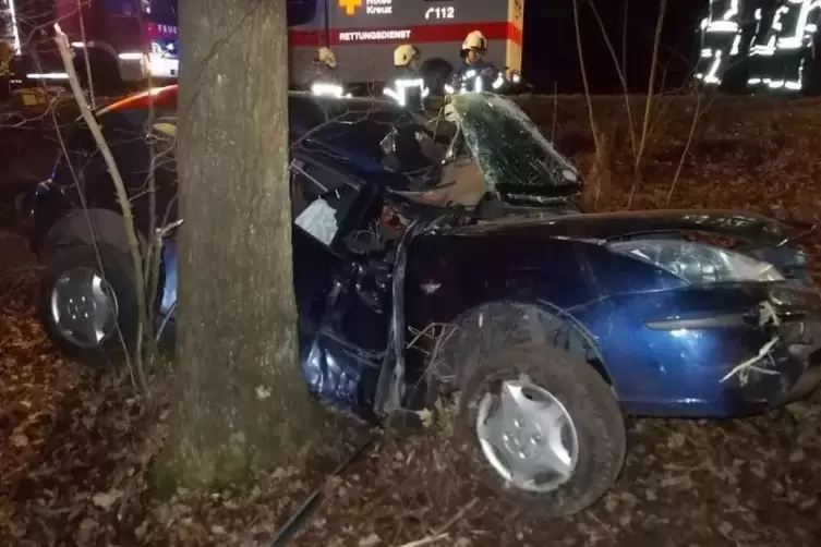91-94477297_aktuell_offenbach_auto_gegen_baum_2017_02_09_polizei.jpg