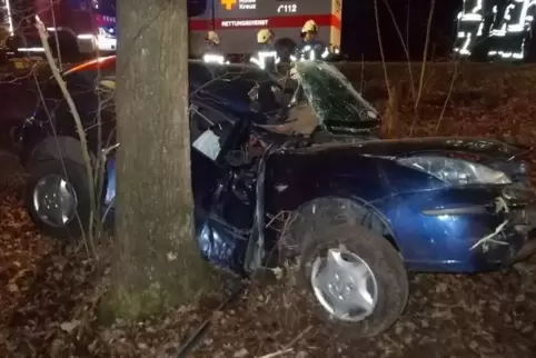 91-94477297_aktuell_offenbach_auto_gegen_baum_2017_02_09_polizei.jpg