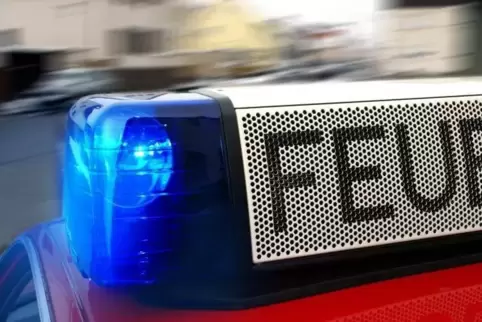 91-94550039_feuerwehr_symbol_lenz.jpg