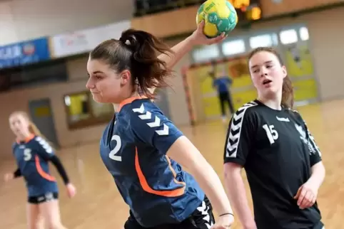 91-94815347_20170220_hassloch_maedchen_handball_bundeswettbewerb_01.jpg
