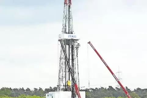 91-95078169.jpg