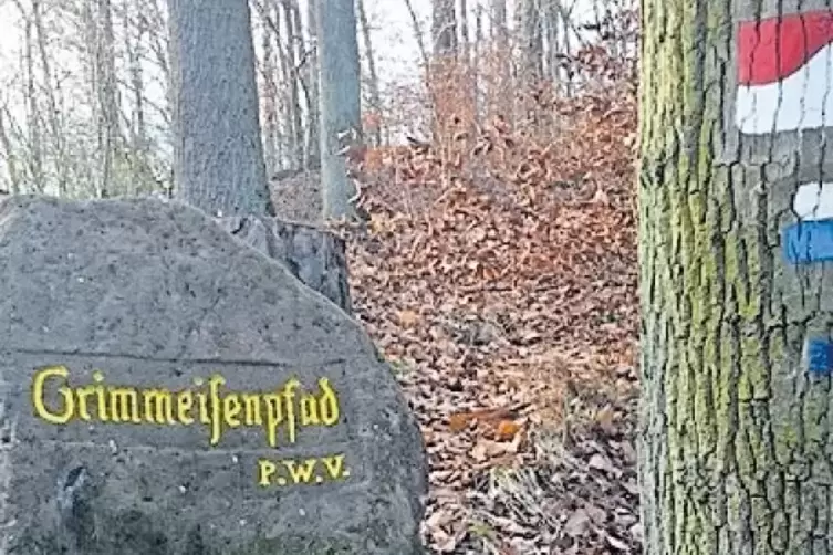 91-95061706.jpg
