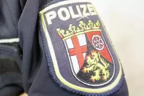 91-95151139_polizei_symbolbild_person_dpa.jpg