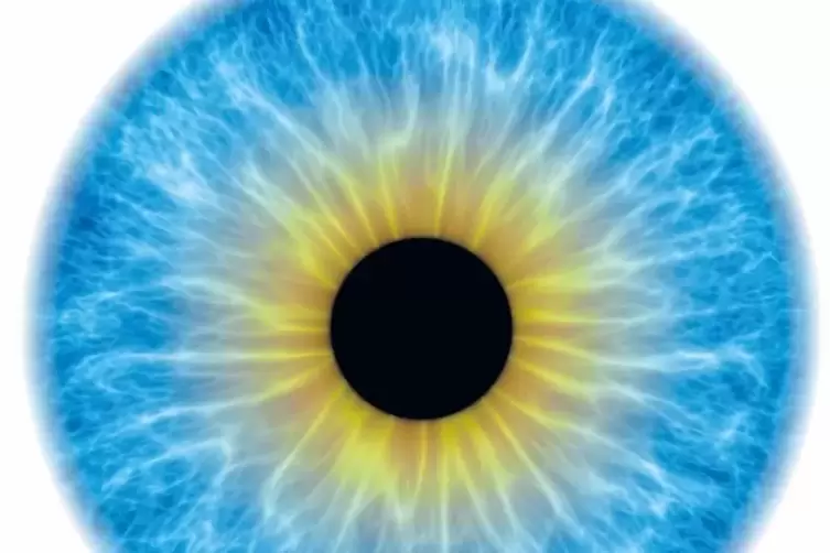 Blaue Iris eines Auges. 