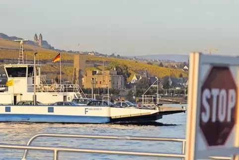 91-96257949.jpg