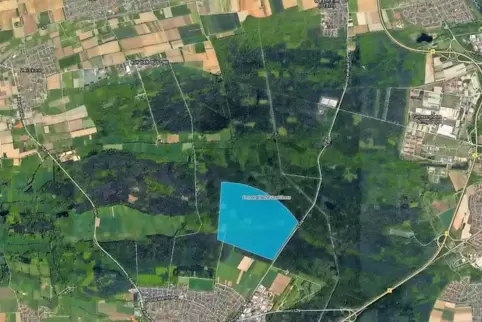 91-96380707.jpg