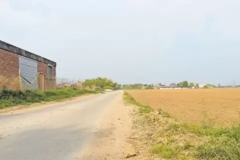 91-96573255.jpg