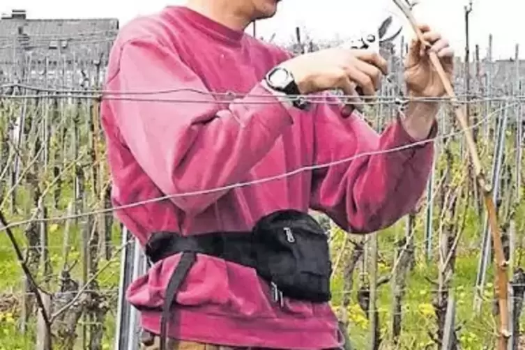 91-96818335.jpg