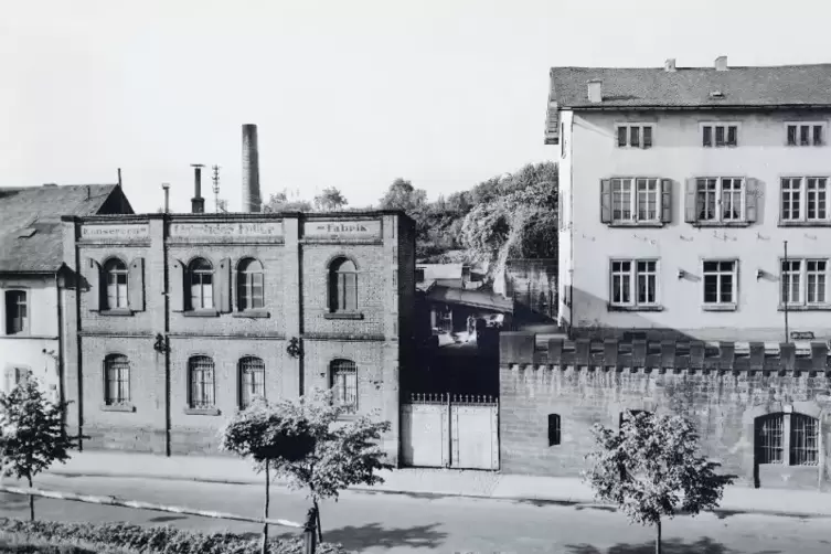 91-96975671.jpg