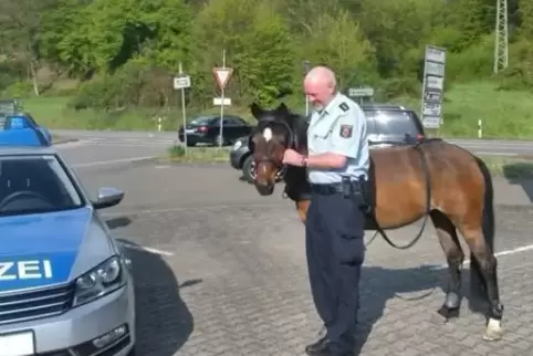91-97117270_30-04-2017-ponylauterecken.jpg