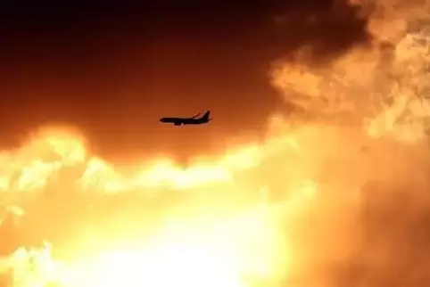 91-97129868_14951a005b4c23ce.jpg