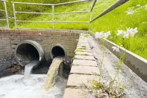 Mit dem Wasser aus der Kanalisation kommen auch viele Arzmeimittel in der Kläranlage Blümeltal an. Zum Leidwesen von Betriebslei