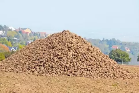 91-97276090.jpg