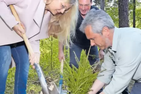 Ein Plätzchen für den Baum des Jahres: Förster Jürgen Render zeigt Mareile F. Martin und Thomas Franck-Schulz vom Rotary-Club, w