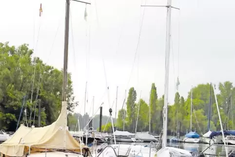 Platz für 120 Boote: der Hafen am nördlichen Ende des Otterstadter Altrheins.