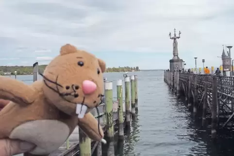 Nils am Bodensee: Im Hintergrund ist die „Imperia“ zu sehen.