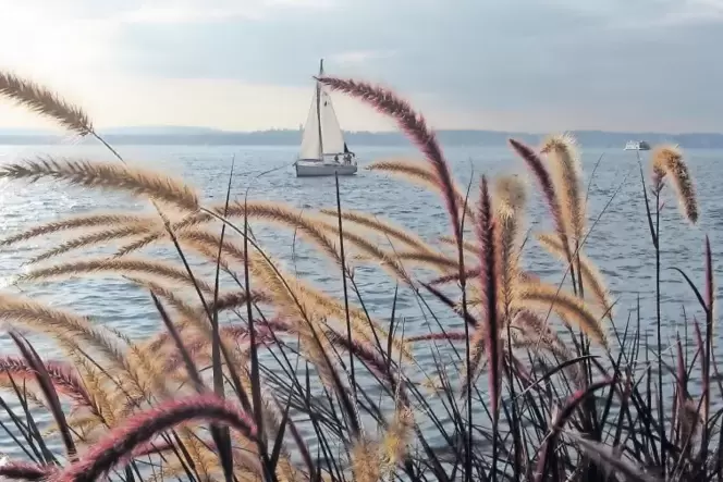 Idylle am Bodensee: Unter den Werken, die am Wochenende ausgestellt werden, sind auch Fotografien, die Ute Germann selbst gemach Idylle am Bodensee: Unter den Werken, die am Wochenende ausgestellt werden, sind auch Fotografien, die Ute Germann selbst gemach