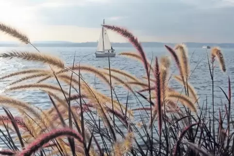 Idylle am Bodensee: Unter den Werken, die am Wochenende ausgestellt werden, sind auch Fotografien, die Ute Germann selbst gemach
