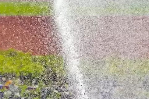 Rheinwasser für Beindersheimer Äcker: Der Gemeinderat hat dazu noch Fragen.