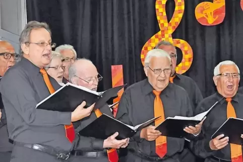 Nimmt mit seinen 34 Sängern an Begutachtungen teil: der Männerchor des MGV Frohsinn Rödersheim.