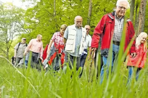 Rund 80 Gäste wanderten gemeinsam über Stock und Stein durch den Stadtwald.
