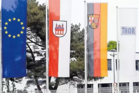 Zeichen für Europa: Die Chemiefirma Thor in der Landwehrstraße hisst neben der eigenen die Flaggen von Europa, Speyer und Rheinl