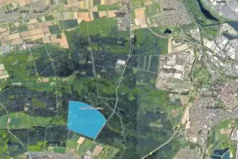 Soll auf der blauen Fläche landen: das geplante Erdwärmekraftwerk im Wald zwischen Bellheim, Westheim und Lustadt.