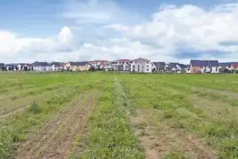 Südlich der Rosenstraße ist ein neues Viertel entstanden. Im zweiten Abschnitt des Baugebiets soll eine Kindertagesstätte gebaut