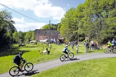 An der Horbacher Mühle warten ein Streichelzoo mit Alpakas und die Möglichkeit, E-Bikes zu testen, auf die Teilnehmer des Radels