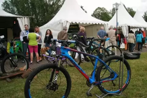 Das Wanderarena-Festival fand bisher im Osten des Landkreises statt, wie hier 2015 in Dahn. Archivfoto: Keller