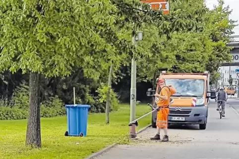 Grünpflege-Einsatz des Wirtschaftsbetriebs in der Rohrlachstraße.