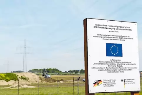 Großprojekt wirbelt Sand auf: Hinter dem Zaun wird für die Erweiterung des Pfalzmarkts gebaggert.